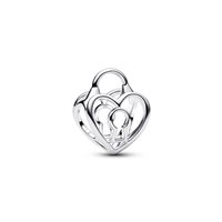 Charm Pandora   in Argento 794358C00